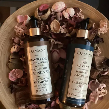 Apartament El Hogar De La Castanera *